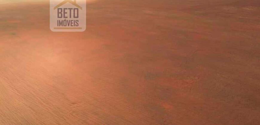 Excelente Fazenda 10 mil hetares pronta p/ plantio soja e arroz | Pedro Afonso/ TO