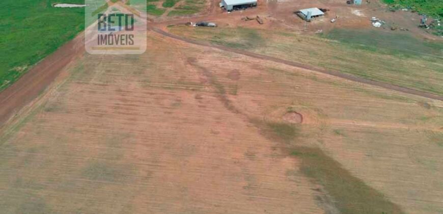 Excelente Fazenda 10 mil hetares pronta p/ plantio soja e arroz | Pedro Afonso/ TO
