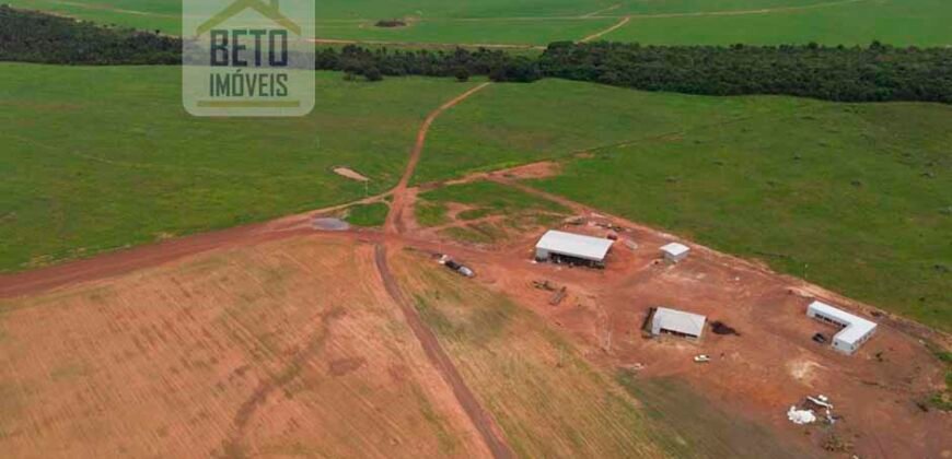 Excelente Fazenda 10 mil hetares pronta p/ plantio soja e arroz | Pedro Afonso/ TO