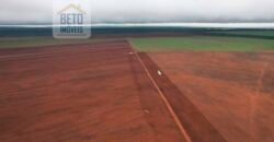 Excelente Fazenda 10 mil hetares pronta p/ plantio soja e arroz | Pedro Afonso/ TO