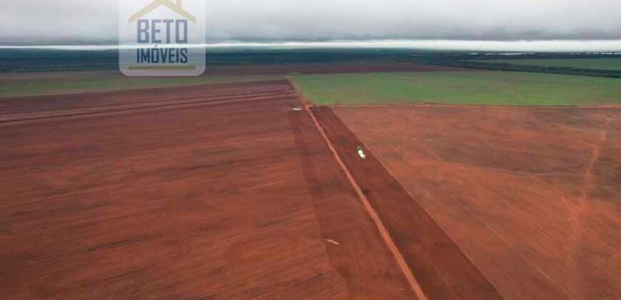 Excelente Fazenda 10 mil hetares pronta p/ plantio soja e arroz | Pedro Afonso/ TO