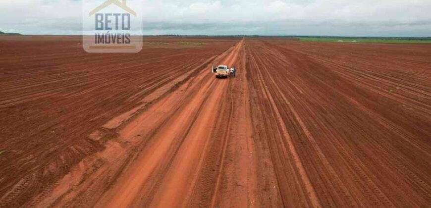 Excelente Fazenda 10 mil hetares pronta p/ plantio soja e arroz | Pedro Afonso/ TO