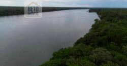 Excelente Fazenda para plantio próximo à Usina Bunge | Pedro Afonso/ TO Excelente Fazenda para plantio próximo à Usina Bunge | Pedro Afonso/ TO