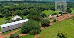 Fazenda Dupla Aptidão c/ 28.500 hectares e pista de pouso de 1100m | Palmas/ TO
