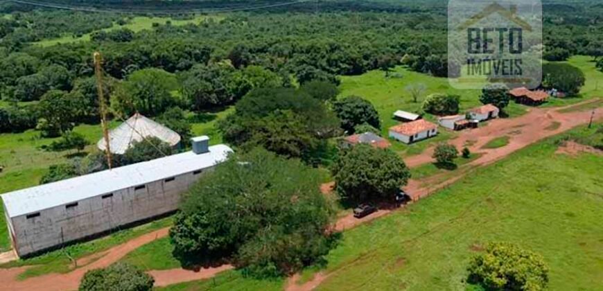 Fazenda Dupla Aptidão c/ 28.500 hectares e pista de pouso de 1100m | Palmas/ TO