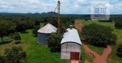 Fazenda Dupla Aptidão c/ 28.500 hectares e pista de pouso de 1100m | Palmas/ TO