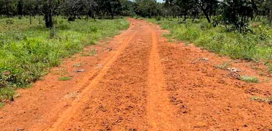 Fazenda Dupla Aptidão c/ 28.500 hectares e pista de pouso de 1100m | Palmas/ TO