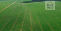 Fazenda à Venda c/  9.355 hectares com plantio, armazanemento e todo maquinário | Goaiatins/ TO