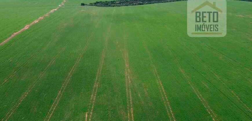 Fazenda à Venda c/  9.355 hectares com plantio, armazanemento e todo maquinário | Goaiatins/ TO