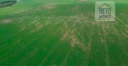 Fazenda à Venda c/  9.355 hectares com plantio, armazanemento e todo maquinário | Goaiatins/ TO