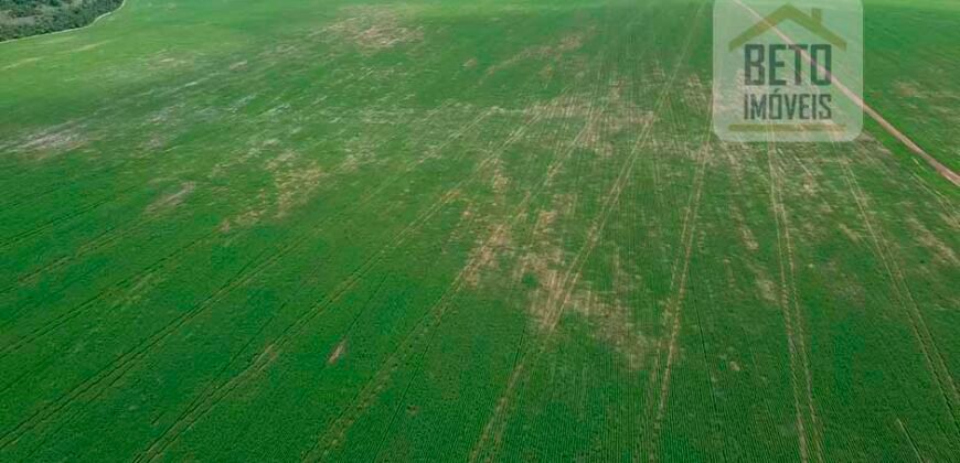 Fazenda à Venda c/  9.355 hectares com plantio, armazanemento e todo maquinário | Goaiatins/ TO