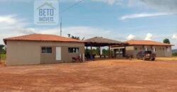 Fazenda à Venda c/  9.355 hectares com plantio, armazanemento e todo maquinário | Goaiatins/ TO