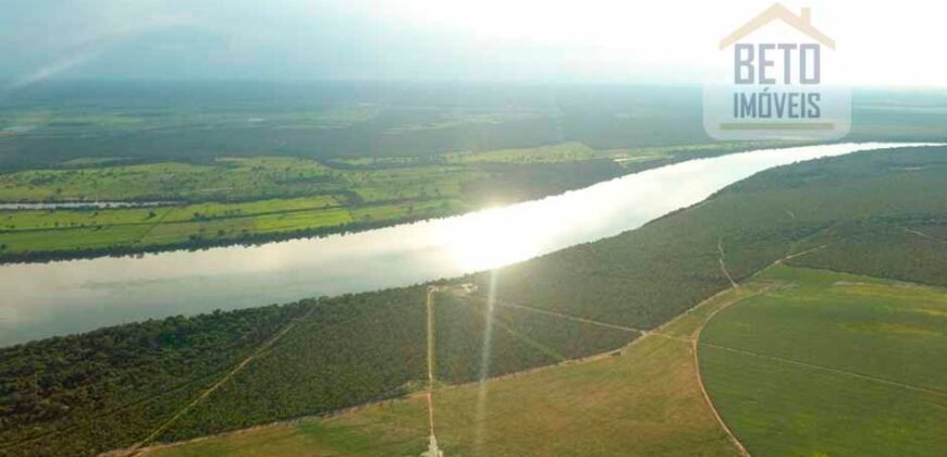Excelente fazenda para lavoura e pasto com 500 alqueires Toda plana | Peixe/ TO