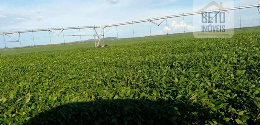 Excelente fazenda para lavoura e pasto com 500 alqueires Toda plana | Peixe/ TO
