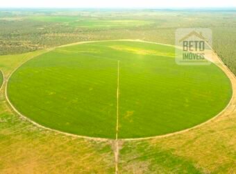 Excelente fazenda para lavoura e pasto com 500 alqueires Toda plana | Peixe/ TO Excelente fazenda para lavoura e pasto com 500 alqueires Toda plana | Peixe/ TO