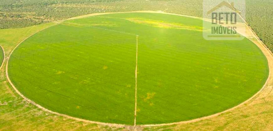 Excelente fazenda para lavoura e pasto com 500 alqueires Toda plana | Peixe/ TO