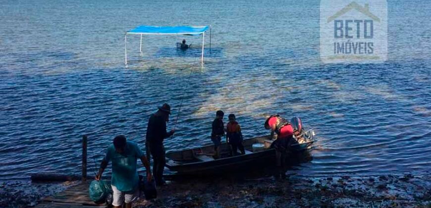 Excelente fazenda para lavoura e pasto com 500 alqueires Toda plana | Peixe/ TO