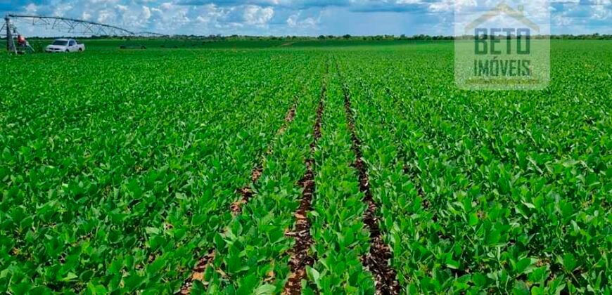 Excelente fazenda para lavoura e pasto com 500 alqueires Toda plana | Peixe/ TO