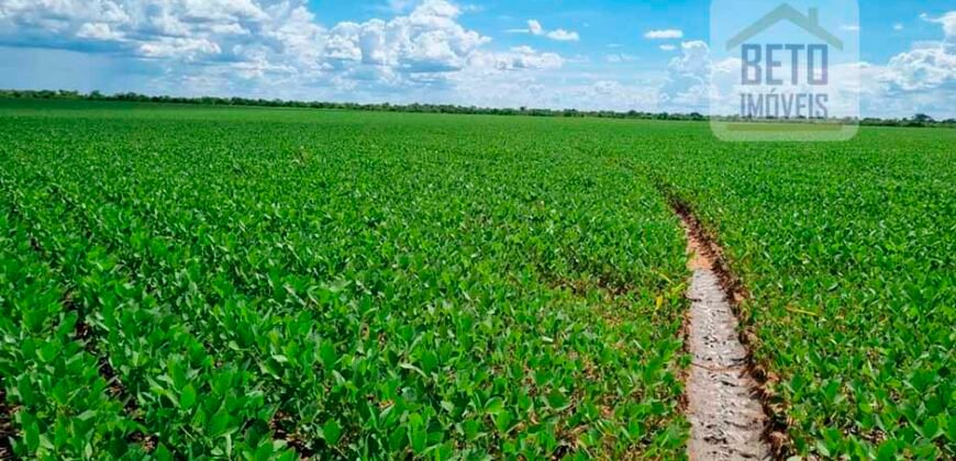 Excelente fazenda para lavoura e pasto com 500 alqueires Toda plana | Peixe/ TO