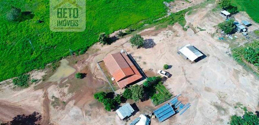 Excelente fazenda para lavoura e pasto com 500 alqueires Toda plana | Peixe/ TO