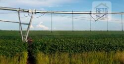 Excelente fazenda para lavoura e pasto com 500 alqueires Toda plana | Peixe/ TO