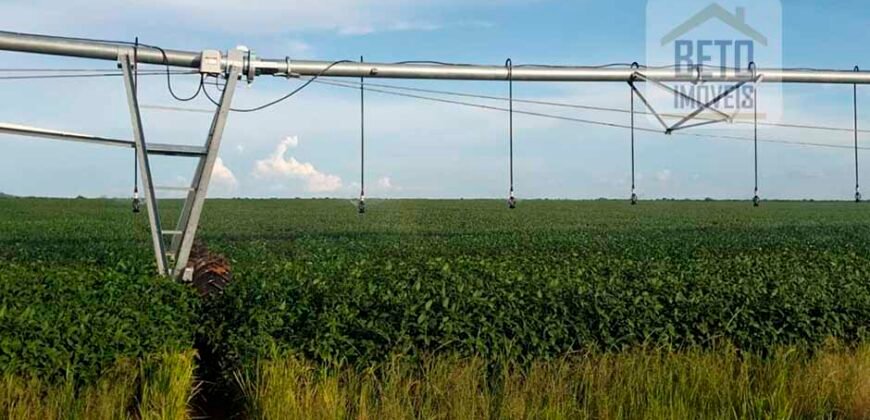 Excelente fazenda para lavoura e pasto com 500 alqueires Toda plana | Peixe/ TO