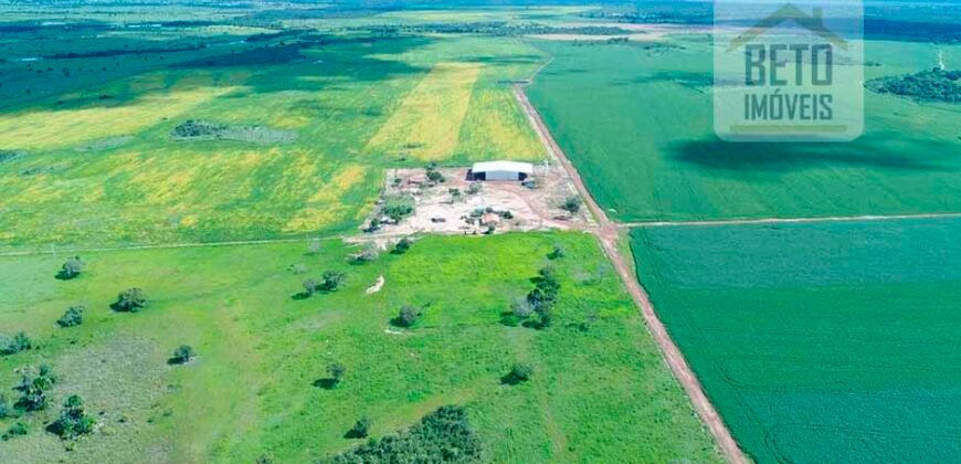 Excelente fazenda para lavoura e pasto com 500 alqueires Toda plana | Peixe/ TO