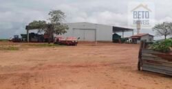 Excelente fazenda para lavoura e pasto com 500 alqueires Toda plana | Peixe/ TO