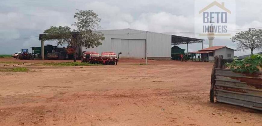 Excelente fazenda para lavoura e pasto com 500 alqueires Toda plana | Peixe/ TO