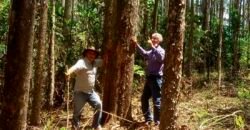 Fazenda de Eucalipto 980 hectares, estrutura para pecuária e 18 nascentes | São Sebastião/ SP Fazenda de Eucalipto 980 hectares, estrutura para pecuária e 18 nascentes | São Sebastião/ SP