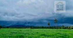 Espetucular Fazenda para Pastejo Rotacionado toda estruturada e maquinários | Vila Rica/ MT