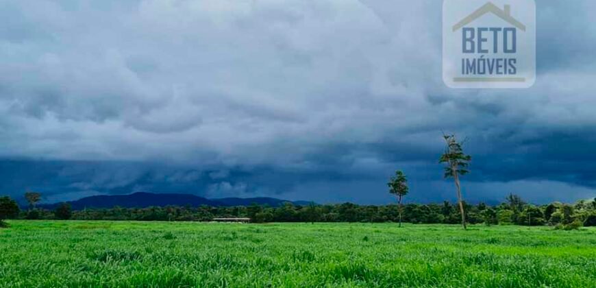 Espetucular Fazenda para Pastejo Rotacionado toda estruturada e maquinários | Vila Rica/ MT