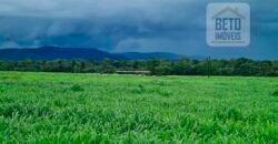 Espetucular Fazenda para Pastejo Rotacionado toda estruturada e maquinários | Vila Rica/ MT