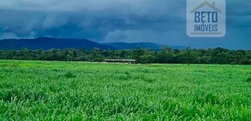 Espetucular Fazenda para Pastejo Rotacionado toda estruturada e maquinários | Vila Rica/ MT