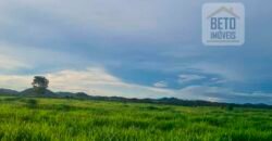 Espetucular Fazenda para Pastejo Rotacionado toda estruturada e maquinários | Vila Rica/ MT