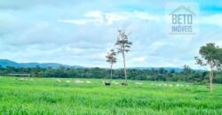 Espetucular Fazenda para Pastejo Rotacionado toda estruturada e maquinários | Vila Rica/ MT