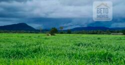 Espetucular Fazenda para Pastejo Rotacionado toda estruturada e maquinários | Vila Rica/ MT