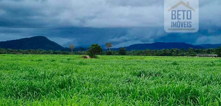 Espetucular Fazenda para Pastejo Rotacionado toda estruturada e maquinários | Vila Rica/ MT