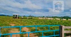 Espetucular Fazenda para Pastejo Rotacionado toda estruturada e maquinários | Vila Rica/ MT