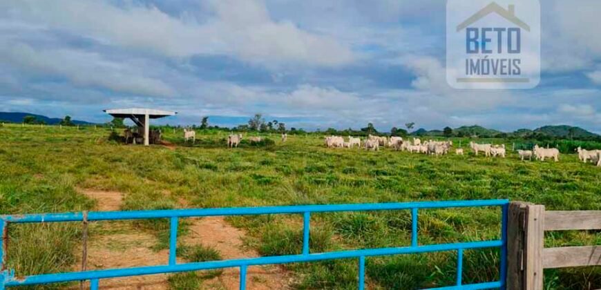 Espetucular Fazenda para Pastejo Rotacionado toda estruturada e maquinários | Vila Rica/ MT