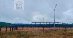 Espetucular Fazenda para Pastejo Rotacionado toda estruturada e maquinários | Vila Rica/ MT