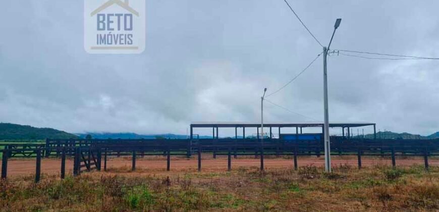 Espetucular Fazenda para Pastejo Rotacionado toda estruturada e maquinários | Vila Rica/ MT
