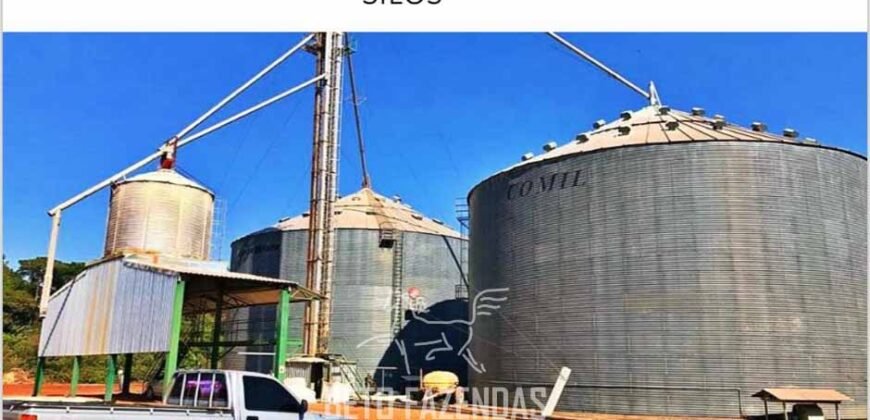 Fazenda Dupla Aptidão 89 mil has Toda Estruturada Pista de Pouso e Hangar | Paranatinga/ MT