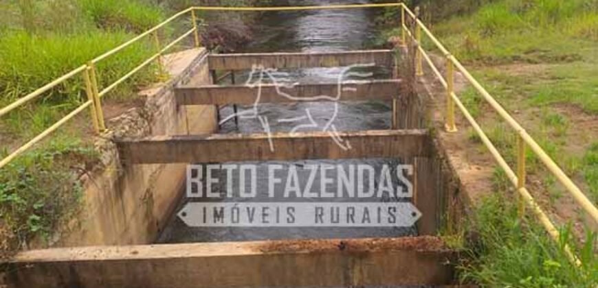 Fazenda Dupla Aptidão 89 mil has Toda Estruturada Pista de Pouso e Hangar | Paranatinga/ MT