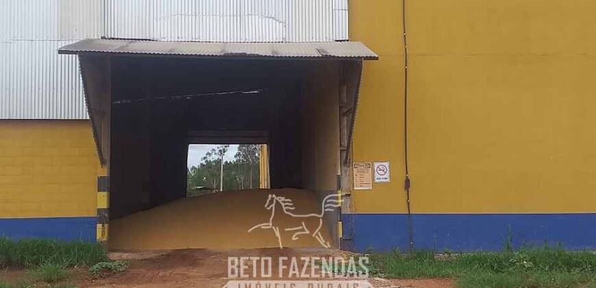 Fazenda Dupla Aptidão 89 mil has Toda Estruturada Pista de Pouso e Hangar | Paranatinga/ MT