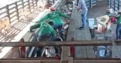 Fazenda para pastagem com 7500 cabeças de gado e próximo à cidade | Marabá – PA Fazenda para pastagem com 7500 cabeças de gado e próximo à cidade | Marabá – PA