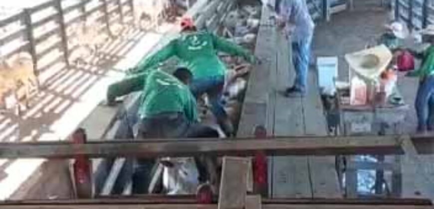 Fazenda para pastagem com 7500 cabeças de gado e próximo à cidade | Marabá – PA Fazenda para pastagem com 7500 cabeças de gado e próximo à cidade | Marabá – PA