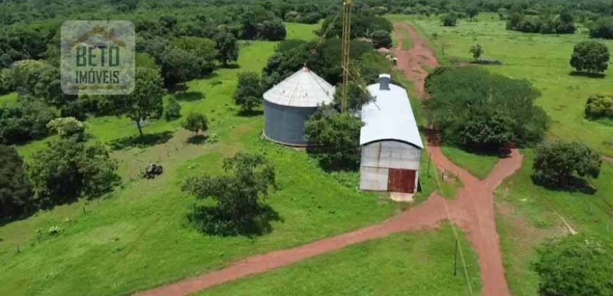 Fazenda Dupla Aptidão c/ 28.500 hectares e pista de pouso de 1100m | Palmas/ TO