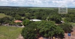 Fazenda à venda p/ Plantio de Grãos 4.032 hectares com toda infraestrutura | Aparecida do Rio Negro – TO