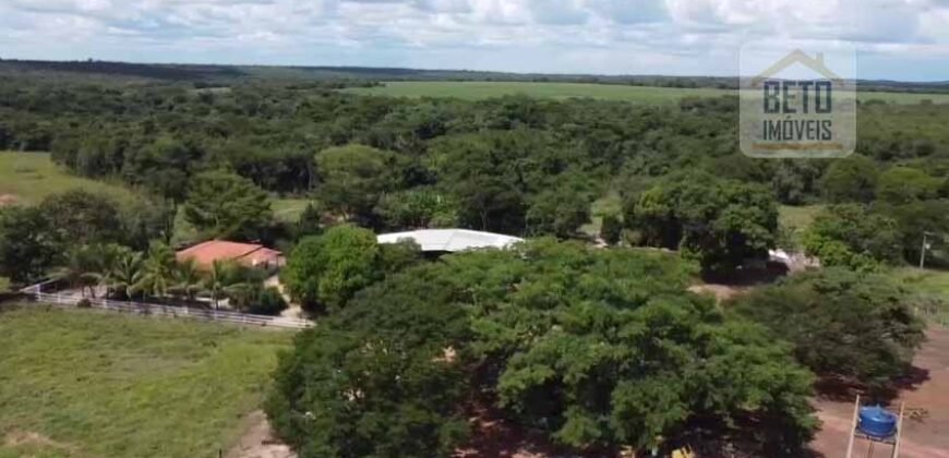 Fazenda à venda p/ Plantio de Grãos 4.032 hectares com toda infraestrutura | Aparecida do Rio Negro – TO